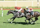 Mehmet Akar Koşusu'nda Zafere Bold Lion Uzandı