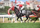 Gazi Koşusu Öncesi Dev Prova: Sait Akson Koşusu'nda Zafere Rabovo Uzandı