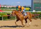 Ankara Büyükşehir Belediye Başkanlığı Koşusu'nda Zafere Wardenclyffe Uzandı