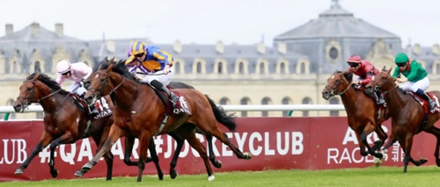 Fransız Derbisi G1 Prix du Jockey Club'da Zafer Constitution River'ın