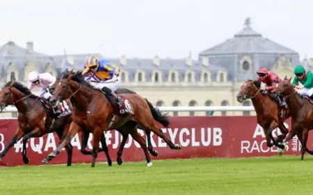 Fransız Derbisi G1 Prix du Jockey Club'da Zafer Constitution River'ın
