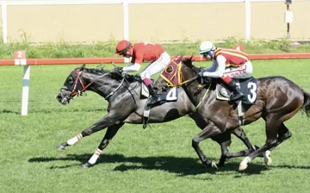 Mehmet Akar Koşusu'nda Zafere Bold Lion Uzandı