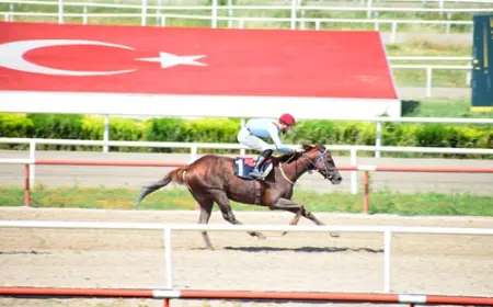 Bursa'da Behzat Ilgaz Koşusu'nda Zafere Aslan Halilim Uzandı