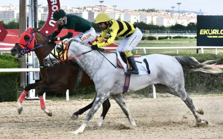 Ankara'da Dumlupınar Koşusu'nu Hulki Kazandı