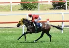 Korea Racing Authority Koşusu'nu Rock Of Beautiful Kazandı