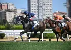 Zübeyde Hanım Koşusu'nda Zafer Beauty Of Darkness'ın