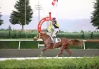 Elazığ Vali Koşusu’nda kazanan Nesib oldu