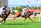 Bursa’da Osmangazi Koşusu Heyecanı: Zaferin Adı Magic Selectra Oldu