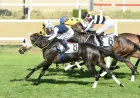 Star Runner, Özdemir Atman Koşusu’nda İlk Grup Zaferine Uzandı