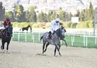 İzmir Şirinyer Hipodromu'nda Osman Aksoy Koşusu'nun Galibi Klein Oldu