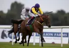 İrlanda'da TJK Kupası Heyecanı: Leopardstown’da Zafer Tatum’un Oldu