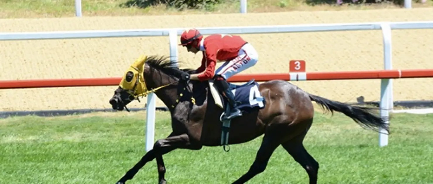 Korea Racing Authority Koşusu'nu Rock Of Beautiful Kazandı