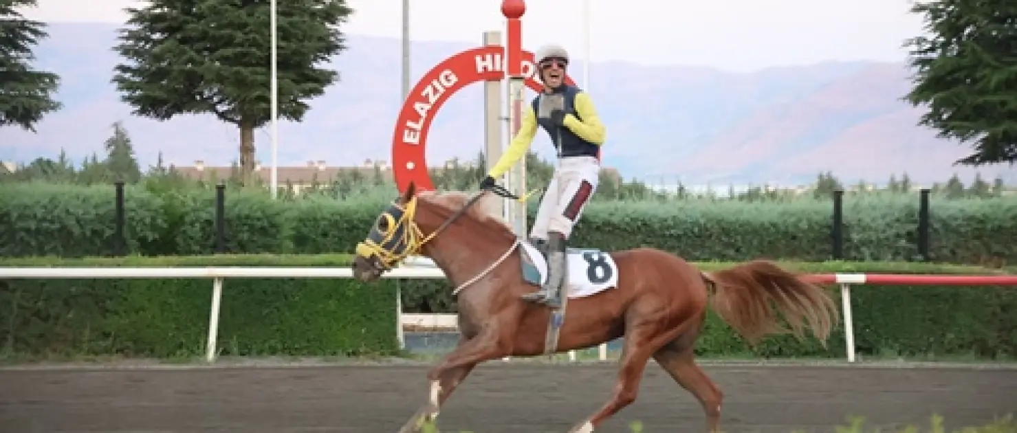 Elazığ Vali Koşusu’nda kazanan Nesib oldu