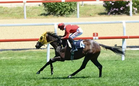 Korea Racing Authority Koşusu'nu Rock Of Beautiful Kazandı