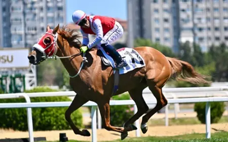 İstanbul Veliefendi’de Kocatepe Koşusu’nu Etsuko kazandı