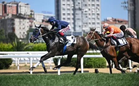 Zübeyde Hanım Koşusu'nda Zafer Beauty Of Darkness'ın