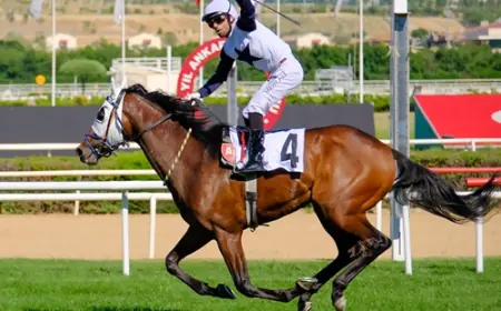 G2 Fevzi Çakmak Koşusu’nda Zaferin Adı Handsome King Oldu