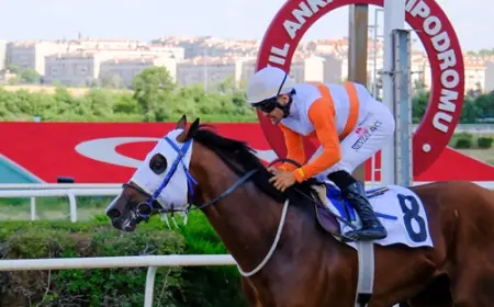 Ankara’da Başkent Koşusu Heyecanı: Zafer The Protecter’ın Oldu