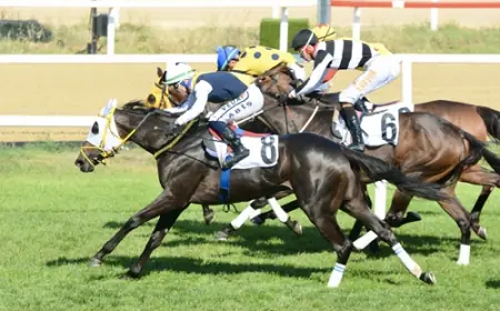 Star Runner, Özdemir Atman Koşusu’nda İlk Grup Zaferine Uzandı