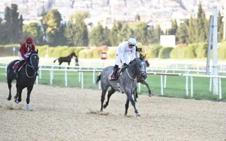 İzmir Şirinyer Hipodromu'nda Osman Aksoy Koşusu'nun Galibi Klein Oldu
