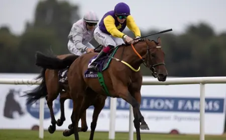 İrlanda'da TJK Kupası Heyecanı: Leopardstown’da Zafer Tatum’un Oldu