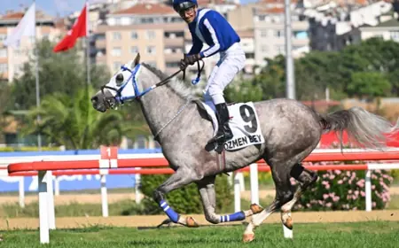 G1 Niğbolu Koşusu'nda Zaferin Adı Özmen Bey Oldu