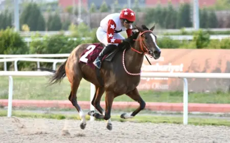 Kocaeli’de Babür Carioğlu Anısına Zafer Tiz A Bella'nın Oldu