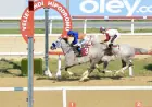 Veliefendi’de Zafer Kral Sultan’ın: Y.A.A.Y.D. Derneği Koşusu Sahiplerini Buldu
