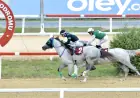 Safiyettin Sakarya Koşusu'nda Zafer Acun Tay'ın Oldu
