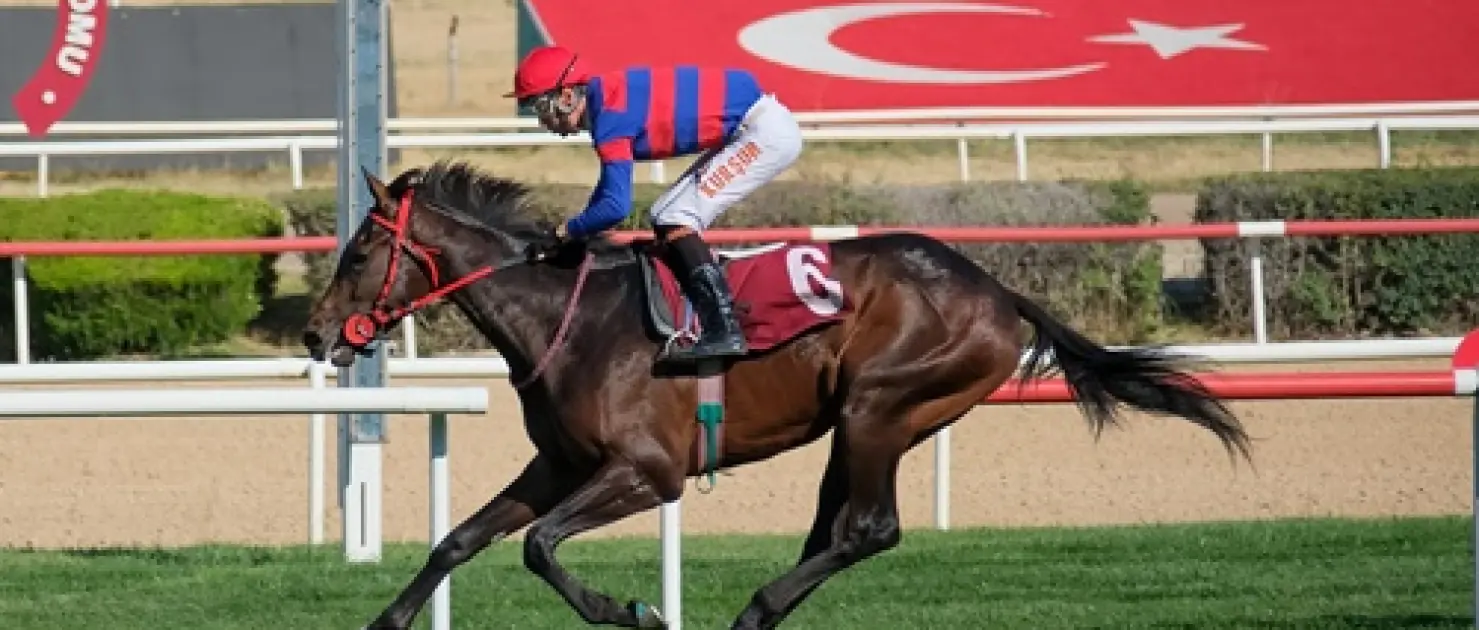 75. Yıl Ankara Hipodromu'nda Yalçın Batur Koşusu Heyecanı: Victory Waltz Zirvede
