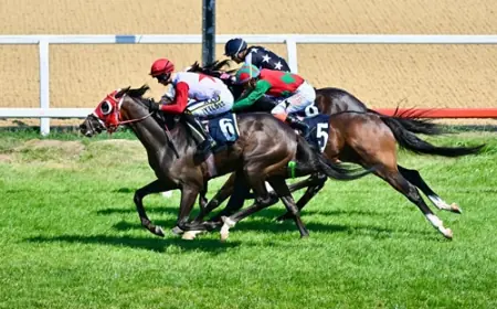 İstanbul Veliefendi’de Cengiz Topel Koşusu Heyecanı: Darkrok Pistten Galip Ayrıldı