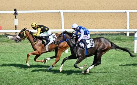 İstanbul Veliefendi'de I. İnönü Koşusu Heyecanı: Elite Touch İlk Grup Zaferine Uzandı