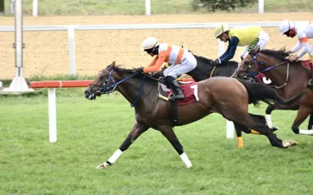 İstanbul Veliefendi’de M. Kemal Karamehmet Koşusu’nun Galibi Jazz Runner Oldu