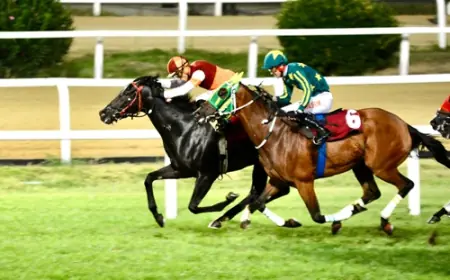 İstanbul Veliefendi’de Hasan Saydam Koşusu Heyecanı: Zafer İphiklos’un Oldu