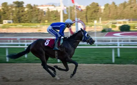 İzmir'de Konak Belediye Başkanlığı Koşusu'nun Galibi Treasure Island Oldu