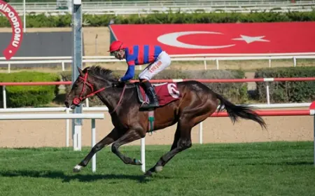 75. Yıl Ankara Hipodromu'nda Yalçın Batur Koşusu Heyecanı: Victory Waltz Zirvede