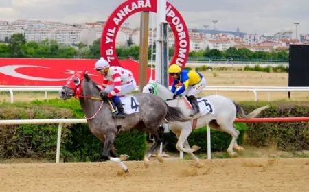 Ankara'da Sultansuyu Tarım İşletmesi Koşusu'nu Kethüda Kazandı