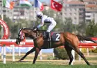 Eszter Jeles - FEGENTRI Koşusu’nda Zafer King Of The Win’in Oldu
