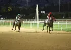 9 Eylül Koşusu'nda Zafer Almighty Esprit ve Mehmet Kaya’nın Oldu