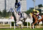 Özmen Bey Veliefendi Koşusu’nda Tarih Yazdı: Triple Crown Tamamlandı!