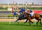 76. Ankara Koşusu’nda Zafer Ersele Beyi’nin: Triple Crown’un Son Ayağı Nefes Kesti