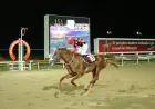 Diyarbakır Karpuz Festivali Koşusu'nda Zafer Secret Royal'in Oldu
