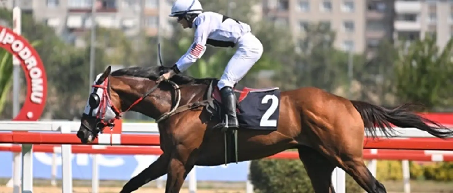 Eszter Jeles - FEGENTRI Koşusu’nda Zafer King Of The Win’in Oldu