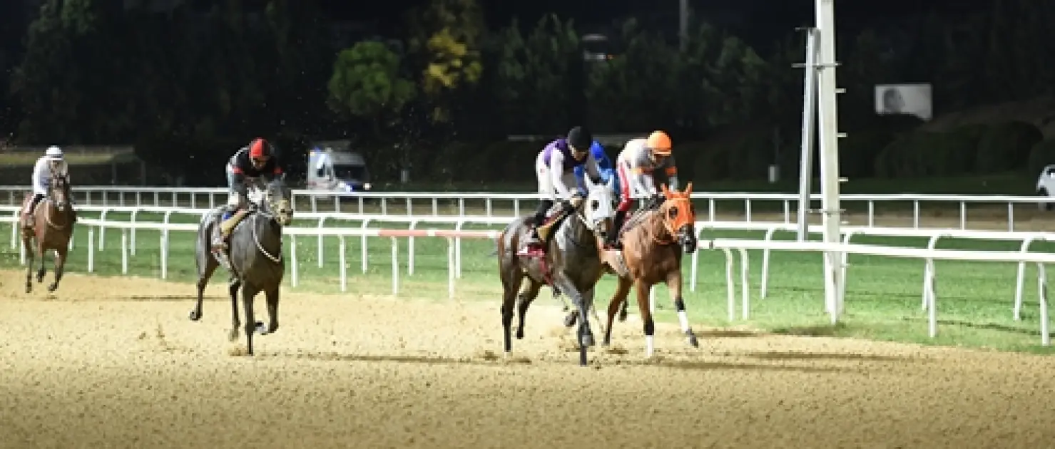 İzmir Şirinyer’de Hüseyin Özsakallı Koşusu’nun Galibi Hill Of Angels Oldu