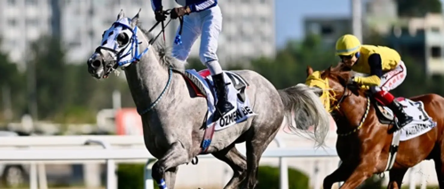 Özmen Bey Veliefendi Koşusu’nda Tarih Yazdı: Triple Crown Tamamlandı!