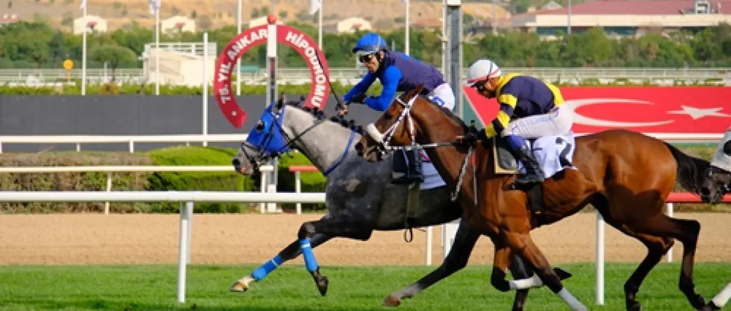 76. Ankara Koşusu’nda Zafer Ersele Beyi’nin: Triple Crown’un Son Ayağı Nefes Kesti