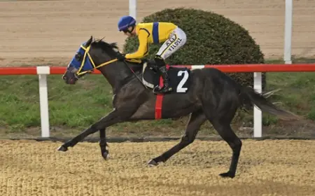 İstanbul Veliefendi’de Horse Racing Ireland Koşusu’nun Galibi True Blue Oldu