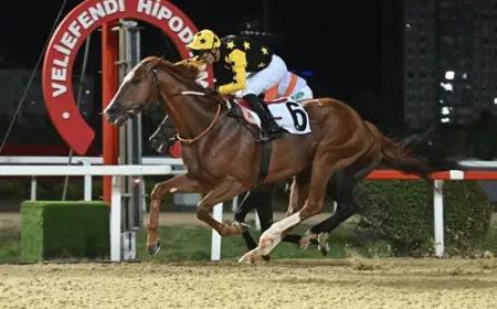 Uluslararası France Galop Anadolu Koşusu'nda Zafer Poetry In Motion'ın Oldu