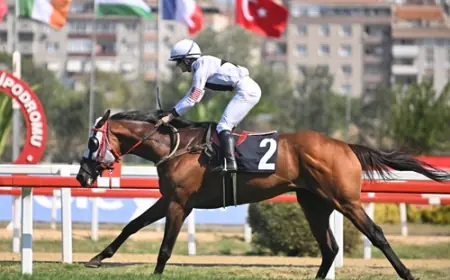 Eszter Jeles - FEGENTRI Koşusu’nda Zafer King Of The Win’in Oldu