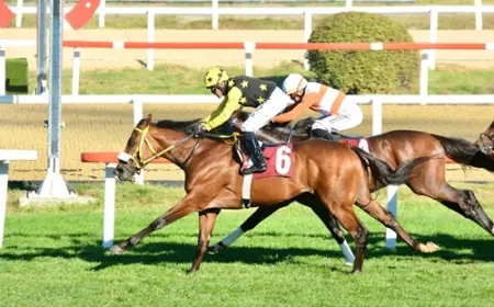 İstanbul Veliefendi’de Dr. Ender Aydıner Koşusu’nun Galibi Touch Of Thunder Oldu